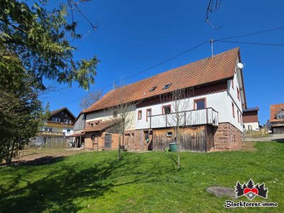Naturnah wohnen mit Stil – Haus mit Geschichte und Zukunft