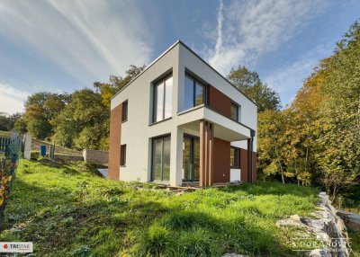 • NEU! • Ein Leben im Grünen Bereich • Gesunde Mischung aus Natur &amp; Stadtnähe • Vier Einzelhäuser • 2 PKW-Stellplätze • Eigentum •