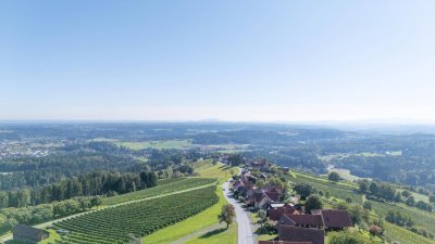 Traumhaus in den steirischen Weinbergen von St Stefan ob Stainz