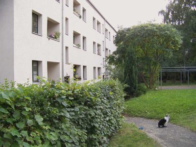 Mit Balkon und Wohnküche