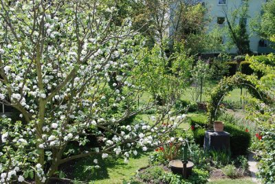 Wunderschöne, helle 2 Raum-Hochparterre-Wohnung mit großer Terrasse in Düsseldorf