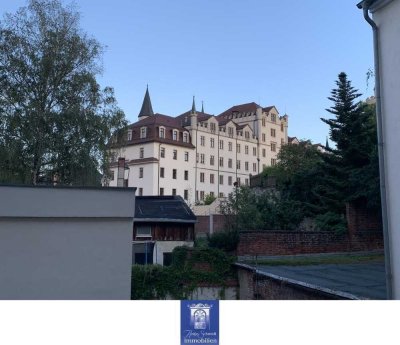Perfekte 3-Zimmerwohnung! Großer Balkon, Wohnküche, Laminat! WG-geeignet!