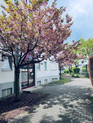IMMO LOVE Haunstetten- Ab 1.6. bezugsfreie 2 ZKB mit ca 52qm, Balkon, optional TG!