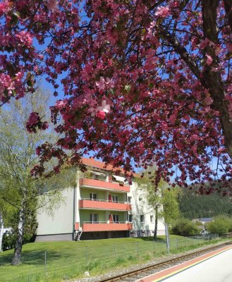 Privatverkauf! 2-Zimmer-Wohnung mit Einbauküche und großer Loggia