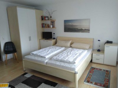 Möbliertes 1-Zi-Appartment mit Einbauküche und Bad in Bad Bergzabern