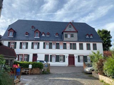 Charmante 4-Zimmer Wohnung in traumhafter Lage im alten Herrenhaus