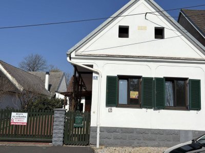 Streckhof mit begrüntem Innenhof mit diversen Lagermöglichkeiten und Garage