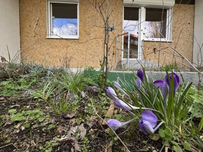 2-Zimmer-Wohnung mit Terrasse und kleinem Garten