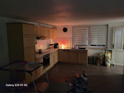 DHH mit Blick über Wiesen und Felder in Steinburg-Süderau