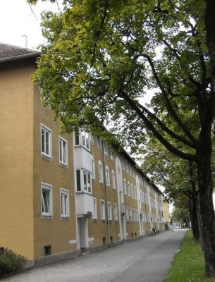 2 Zi.-Wohnung mit Wohnküche