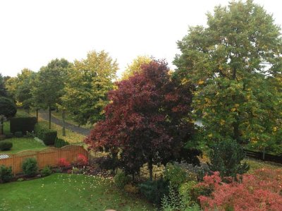 2-Zimmer-Wohnung mit Balkon und Blick ins Grüne in Toplage von Kelsterbach. Ohne Maklergebühr