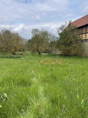Moderne Wohlfühlatmosphäre - Das Einfamilienhaus mit dem Plus an Ausstattung in Mühlhausen OT Grabe