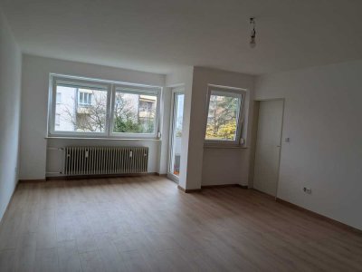 Neu sanierte großzügige Einzimmerwohnung in ruhiger Lage