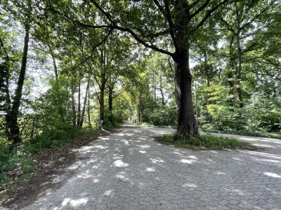 Idyllisch am Feldrand: Vielseitiges Ein-/Zweifamilienhaus in Gailhof