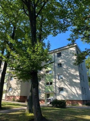 Schöne Zweiraumwohnung im Grünen