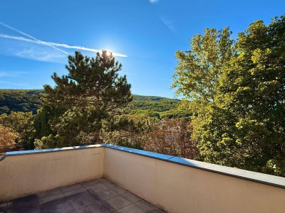 Südwest-Dachterrasse inkl. Blick ins Grüne I 3,20m Raumhöhe I Stellplätze verfügbar I freier Mietzins