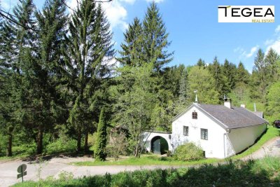 Historischer Zweiseithof - Refugium auf 690m Seehöhe - in absoluter Ruhelage, wo sich Fuchs und Hase gute Nacht sagen