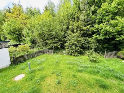 1 Zimmer mit Dusche in Burkhardtsdorf