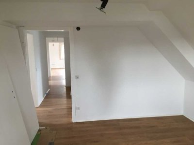 Schön renovierte, modernisierte helle Wohnung mit 4 Zimmern, Balkon in Wiesentheid, OT Reupelsdorf