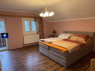 Anlageobjekt oder Großfamilien Hit Föhrenau wenige Minuten zur Therme Linsberg-10067