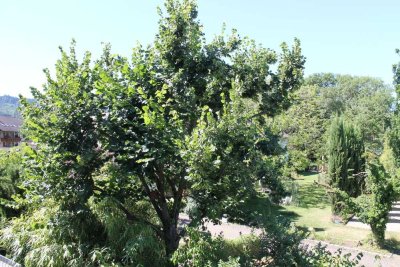 **Ballrechten-Dottingen**Tolle 4 Zi. Whg. mit EBK, 2x Balkon, Stellplatz*ab 01.04.2026 bezugsfrei*