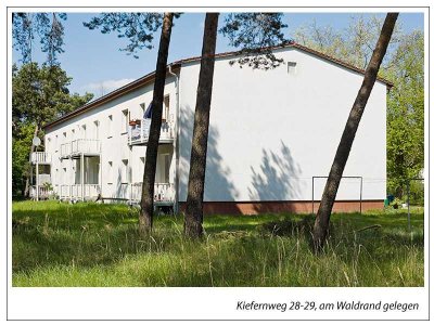 Grün, grüner, am grünsten - Ideal für kleine Familien