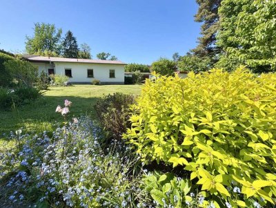 Idyllische Haushälfte im Bungalowstil! Ca. 700 m² private Fläche in Pirna Copitz!