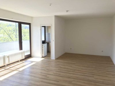 Schöne renovierte 1 -Zimmer Wohnung