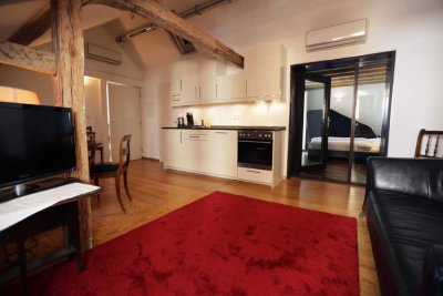 Apartment with Terrace in Frankfurt/ Sachsenhausen