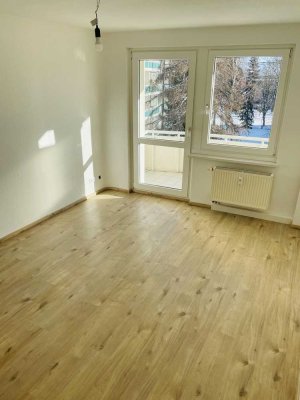 Bezug nach Sanierung: attraktive 1-Zimmer-Wohnung mit Balkon im Blumenviertel