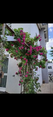 Wohnung zu vermieten 3,5 Zimmer in 72141 Walddorfhäslach