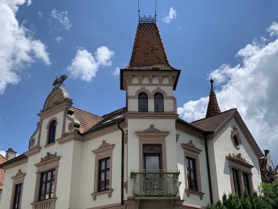 Wunderschöne, modernisierte 3,5-Zimmer-Dachgeschosswohnung mit Balkon in Weißenhorn