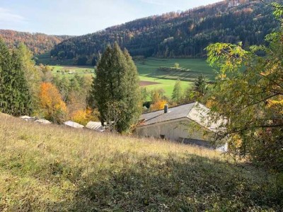 Anwesen mit 3.096 m² Grundstück - Verkauf an privilegierte Landwirte / für privilegierte Vorhaben