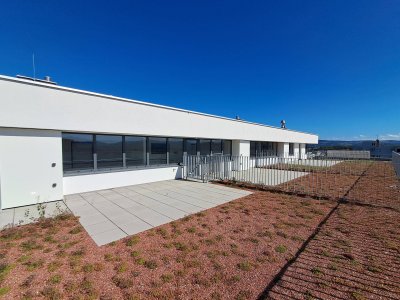 WEINZIERL XIII B - 78