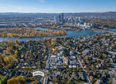 "Where the Alte Donau Becomes Home"