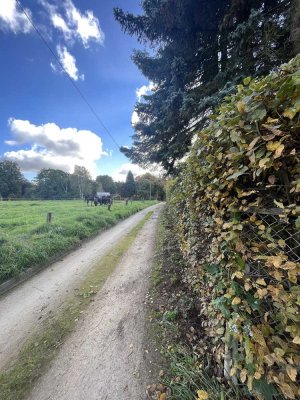 Wochenendgrundstück mit Bungalow und Garage in Dresden Rochwitz