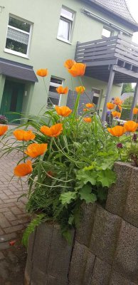 Renovierte Dachgeschosswohnung mit Garten und Stellplätzen – Ihr neues Zuhause!