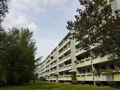 ...Balkon Südseite! Freier Blick ins Grüne!