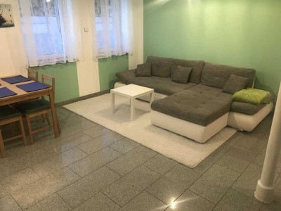 Modernisierte, Vollmöblierte 1-Raum-Wohnung mit gut bestückter Einbauküche in Osthofen