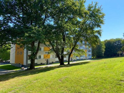 Barrierearme und frisch renovierte 3-Zimmer Wohnung im EG