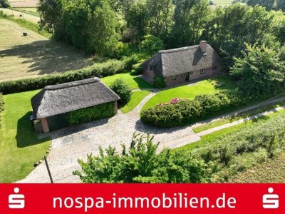 Kleines romantisches Versteck unter Reet