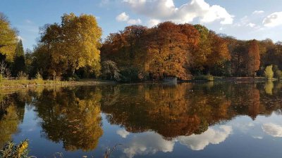 Über den Wolken, mit Blick auf den Rombergpark