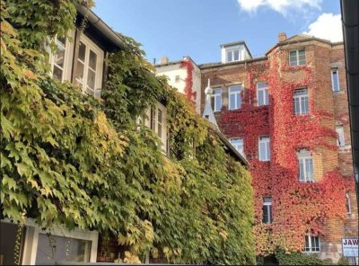 Erstbezug nach Sanierung - Wunderschöne Altbauwohnung mit Balkon und neuer Küche, Therme und Fenster