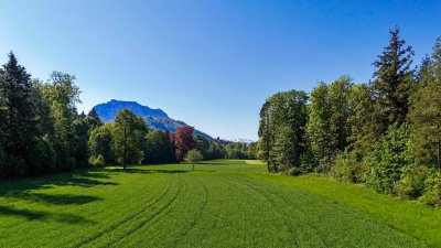 Land &amp; Gut: Arrondiertes Gut in städtischer Alleinlage in Gmunden
