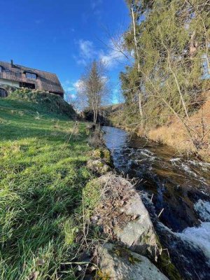 Schwarzwaldhof am Bachlauf - 2 Wohnungen, Bauplatz und 1 Hektar Wiese extra !