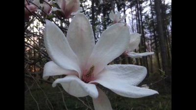 Ihr individuelles Wohlfühl-Haus von Bien-Zenker  EVOLUTION 162