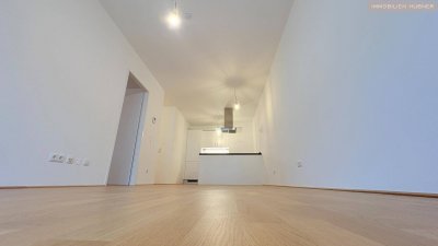 Wien Hauptbahnhof/ Stockerau in nur 40 Minuten/3 sonnige Zimmer plus Loggia