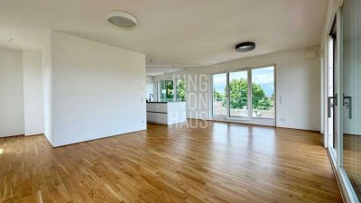 Neubau-Penthouse mit unverwechselbarem Panoramablick - sofort verfügbar!