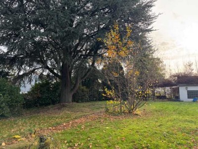 Renovierungsbedürftiges Ein- bis Zweifamilienhaus mit großem Grundstück in Schönebeck