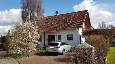 In 2023 sanierte Wohnung mit zwei Zimmern, Balkon, Klimaanlage, Einbauküche in Bornheim/Sechtem